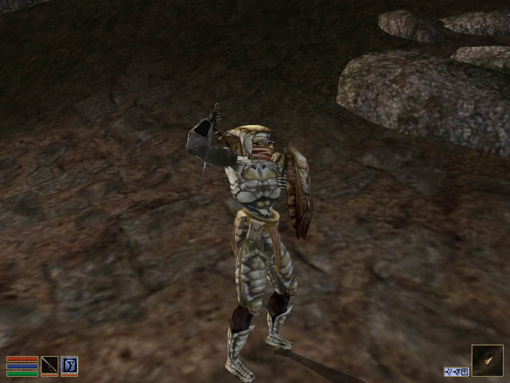 morrowind-2009-06-22-11-30-22-48