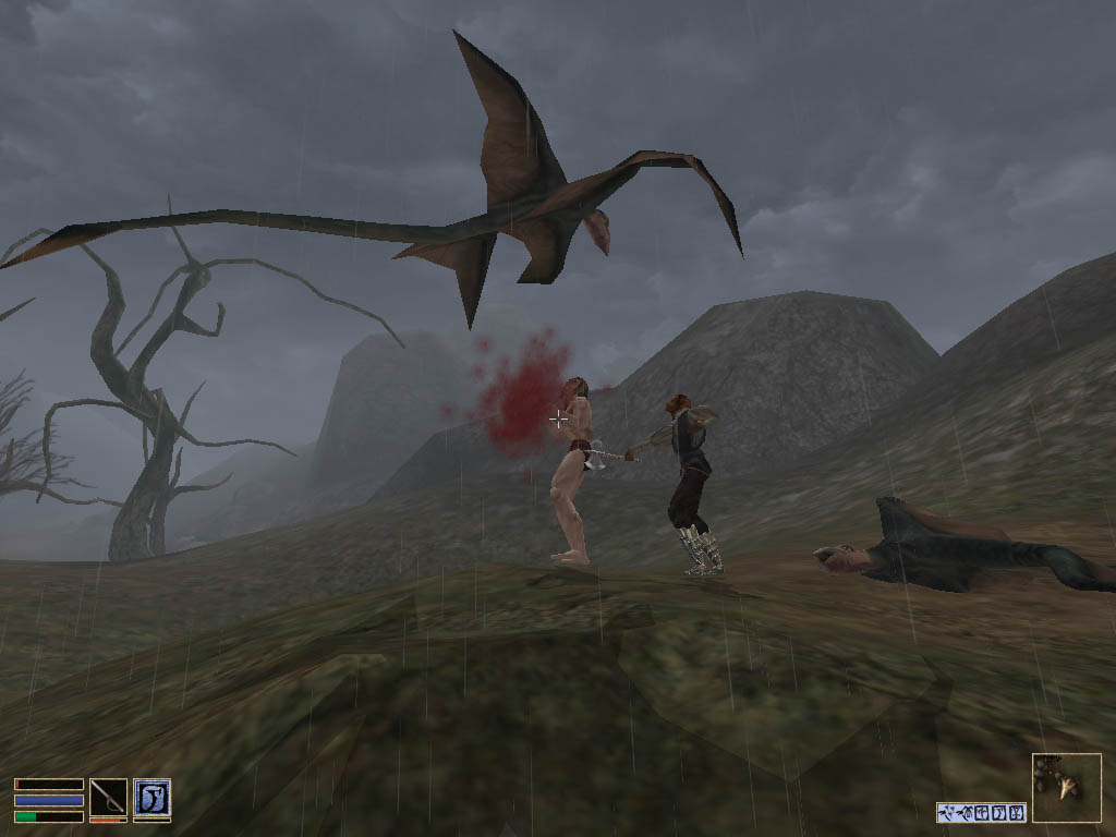 morrowind-2009-06-23-22-00-29-451