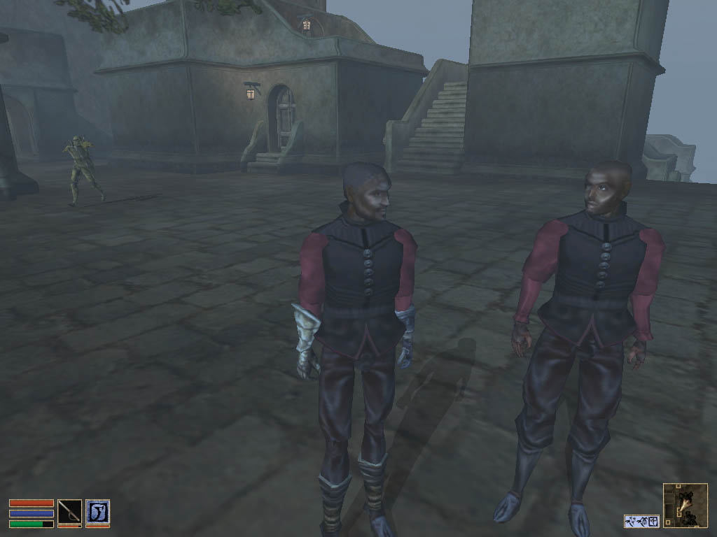 morrowind-2009-06-24-12-53-04-51
