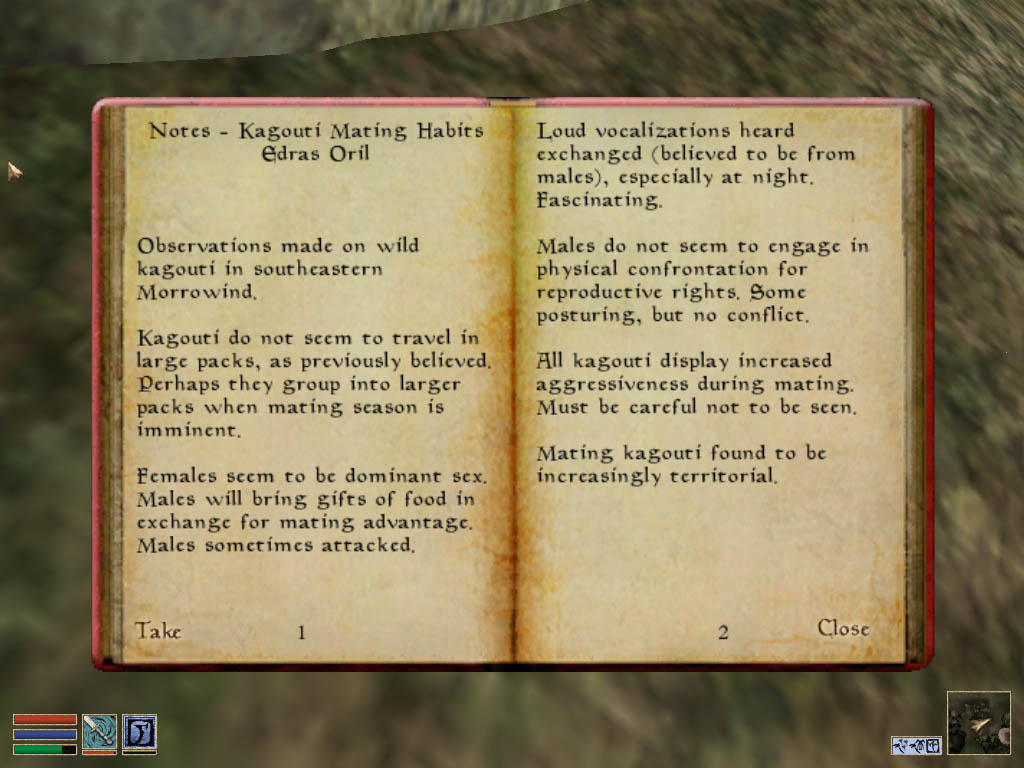morrowind-2009-06-24-13-16-53-89