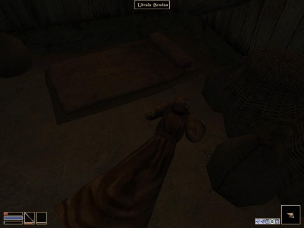 Morrowind 2010-06-28 21-58-41-26